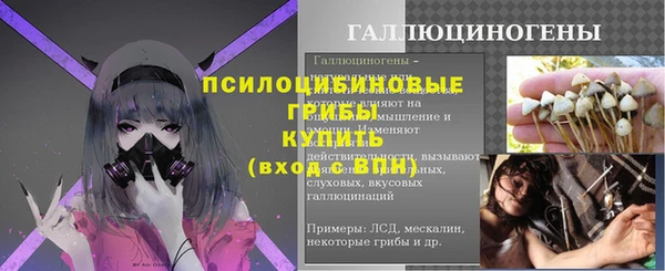 прущие крисы Заводоуковск